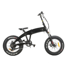 Mini Fat Tire Electric Bike with Bafang Motor